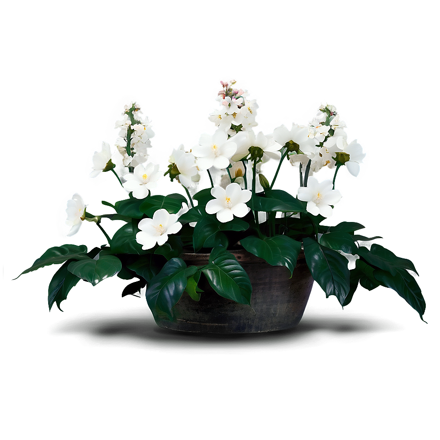 White Blooming Flowers Garden Png Npj64 PNG