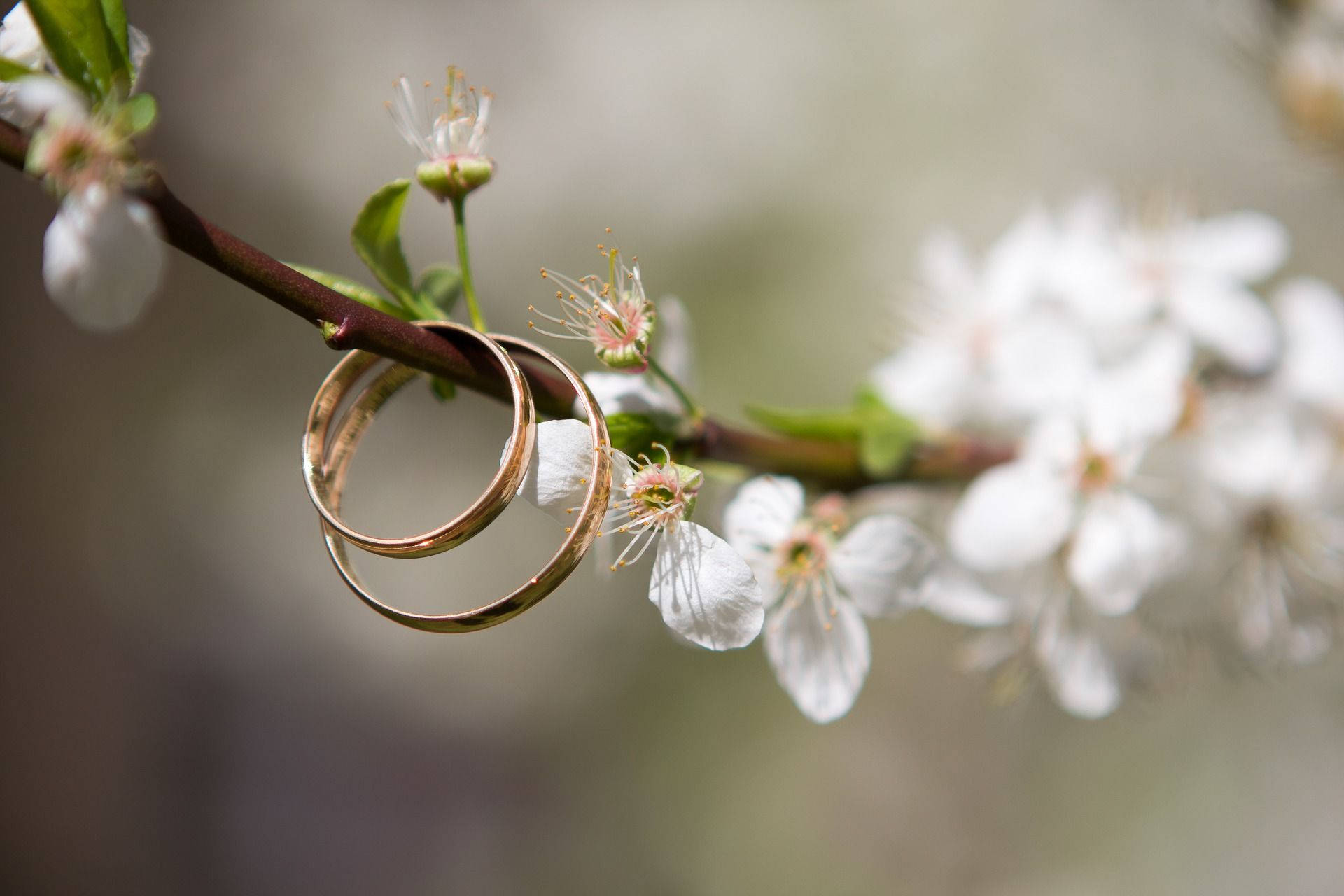 White Blossom Wedding Rings