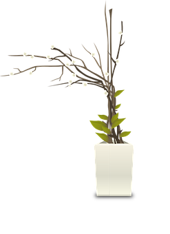 White Blossomed Branchin Vase PNG