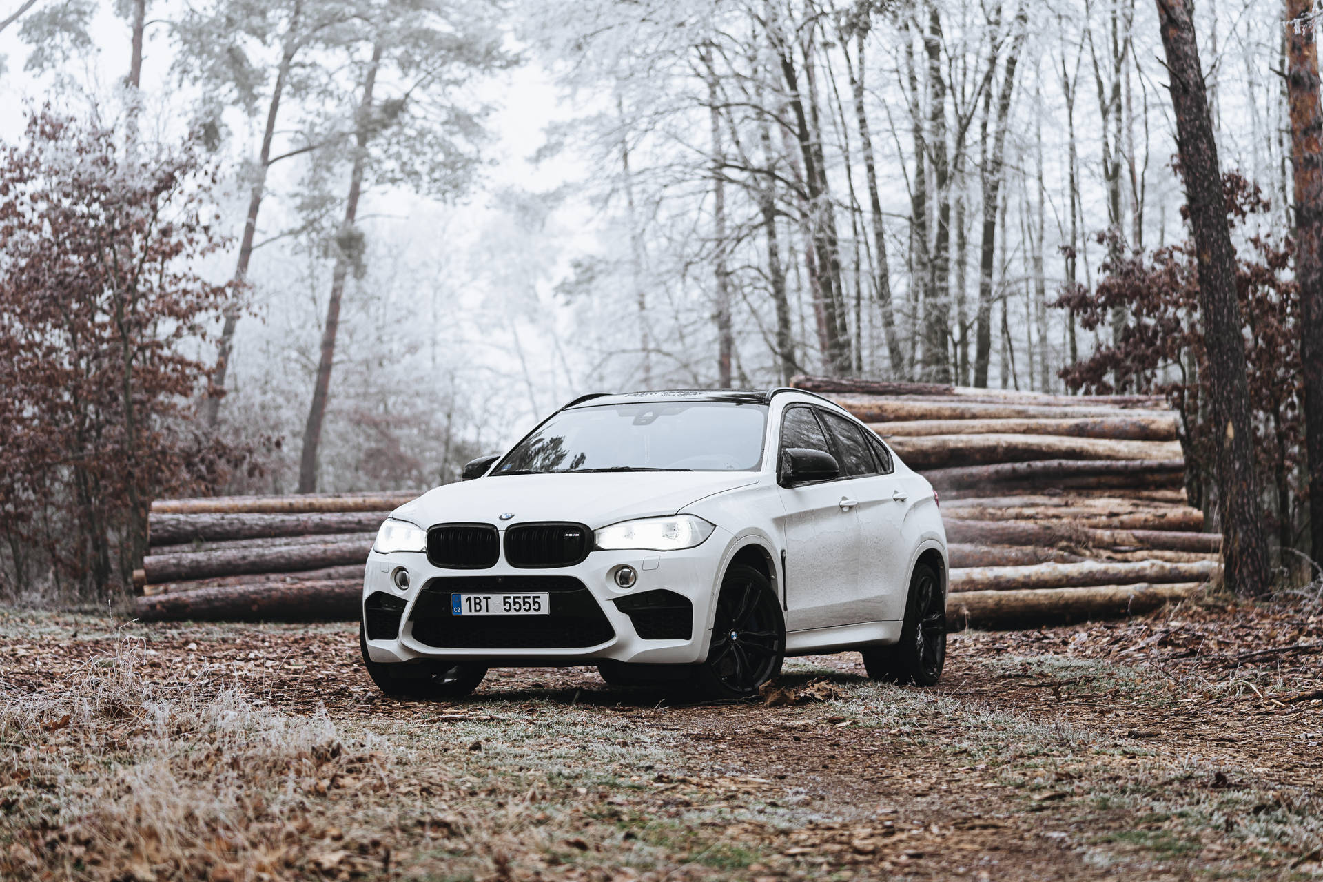 Majestic White BMW M in Serene Forest Setting Wallpaper
