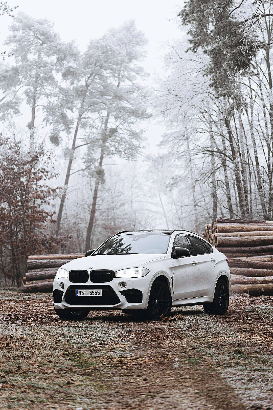 White BMW M In A Forest Mobile Wallpaper