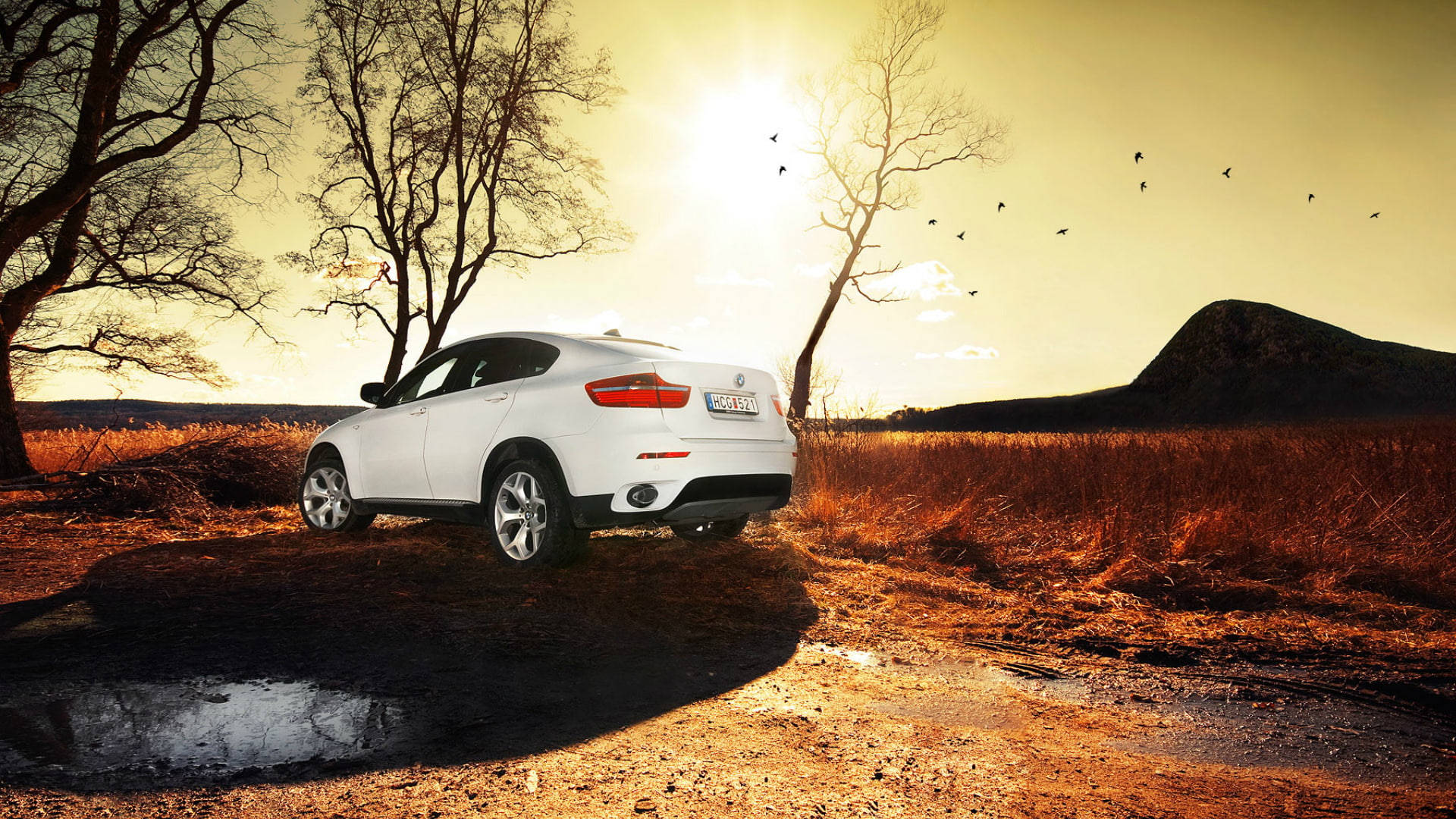 Majestic White BMW X6 M Basking in the Golden Sunset Wallpaper