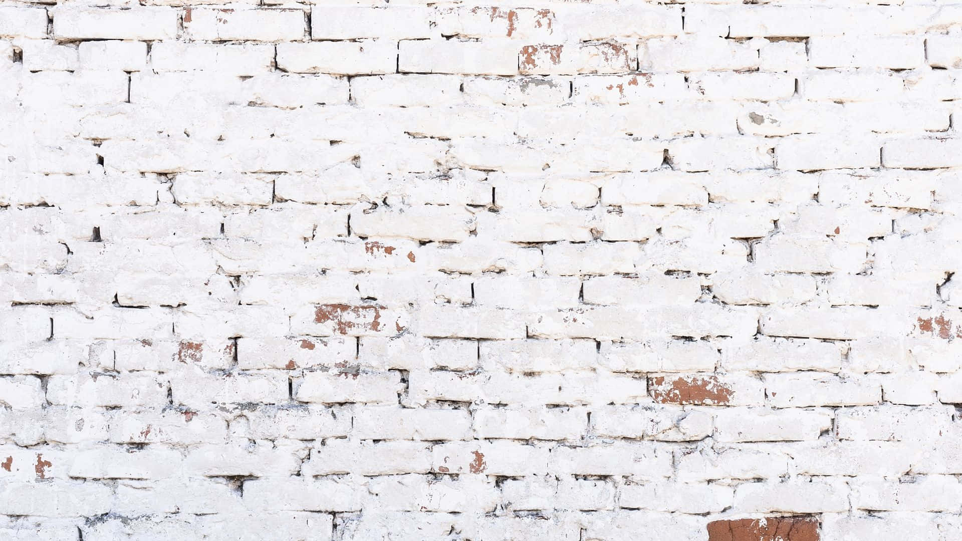 Pure White Bricks Wall Background