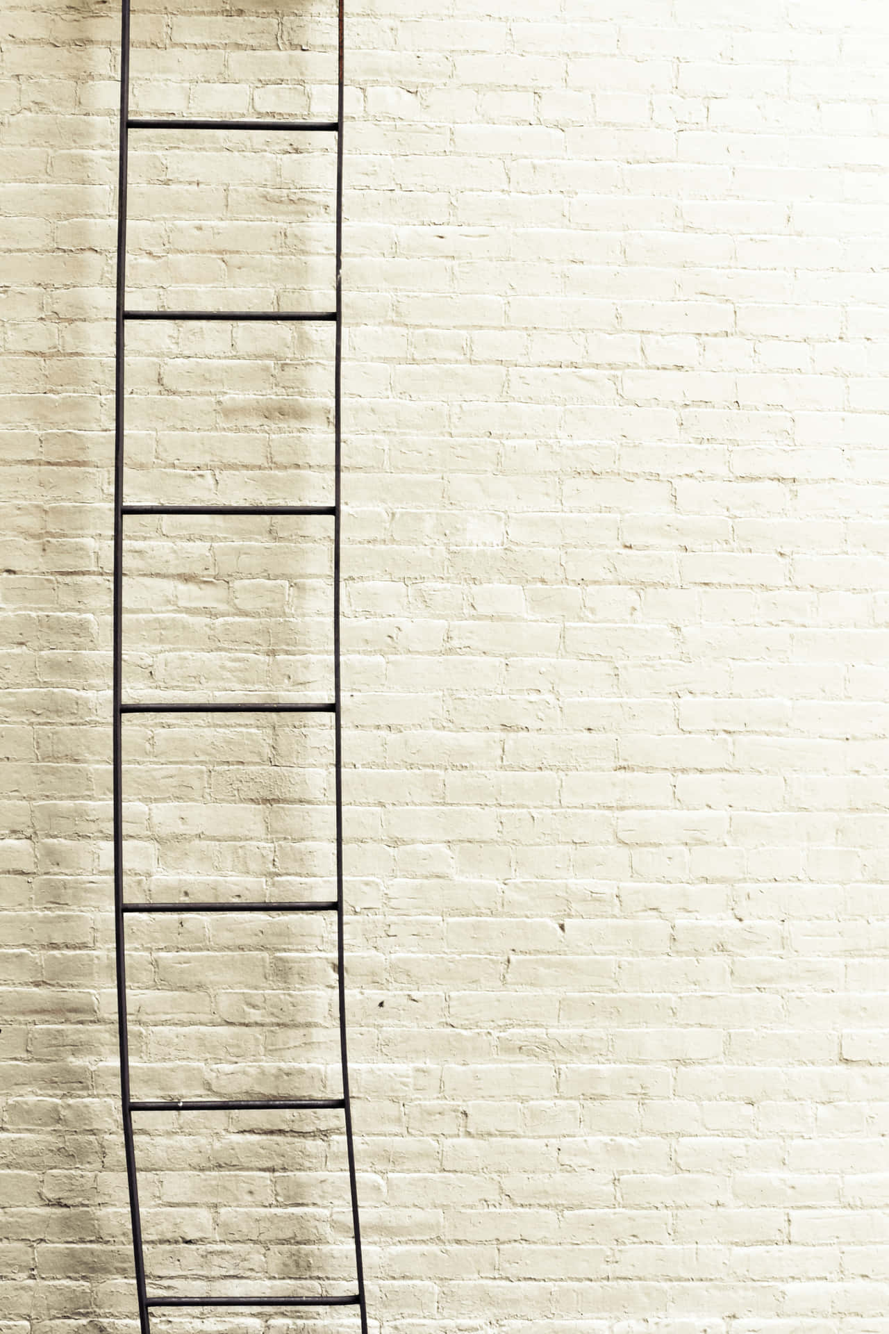 A Textured White Brick Wall