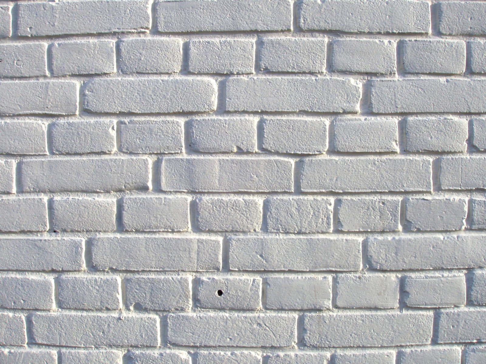 Stunning white brick wall.