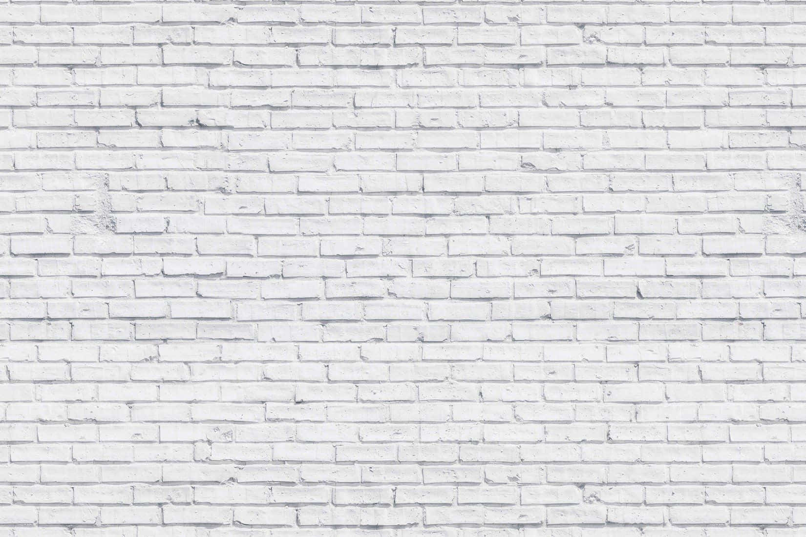 Cozy and Rustic White Brick Wall