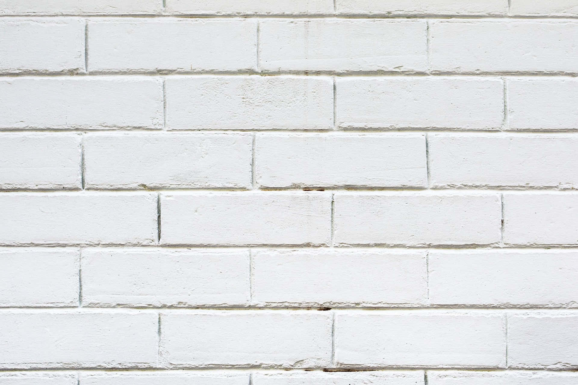 Contrasting against its dark surroundings, a textured white brick wall stands out.