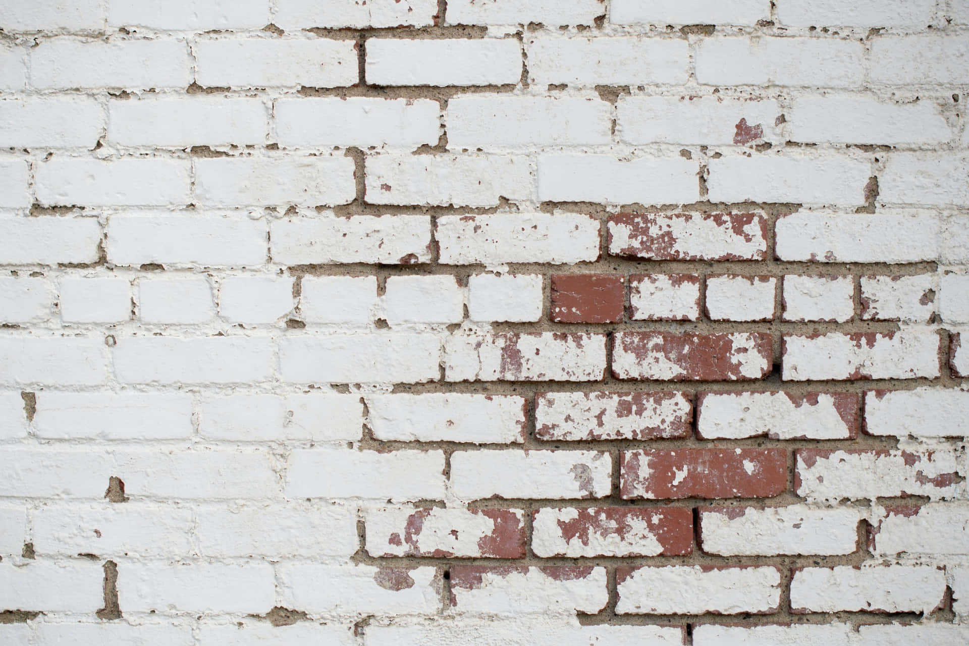 Plain and Simple White Brick Wall