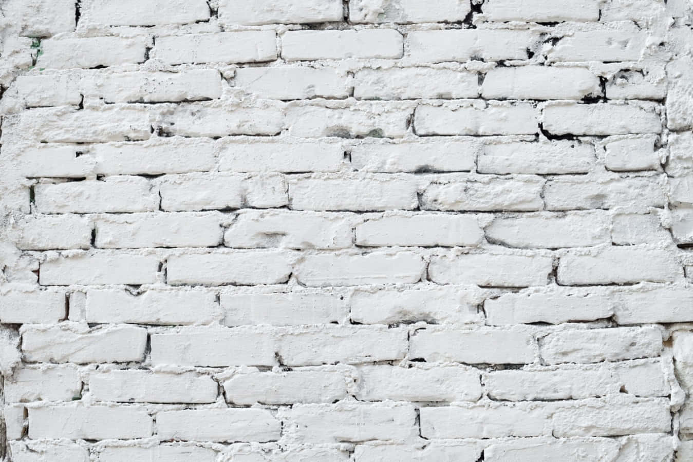 Simple, clean and modern – a white brick wall provides the perfect backdrop