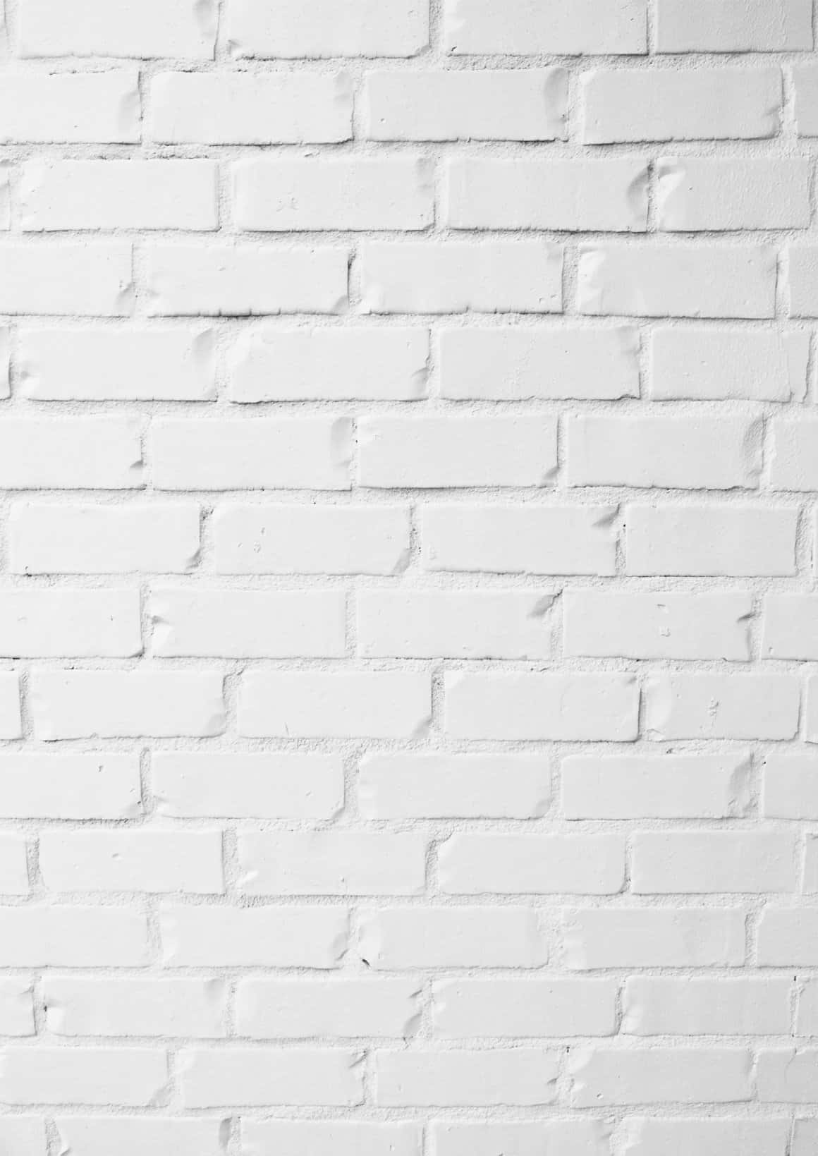 clean white brick wall backdrop