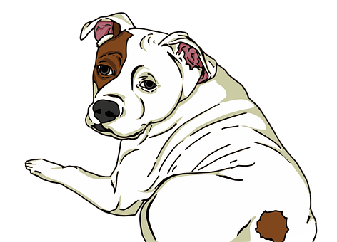 White Brown Dog Illustration PNG