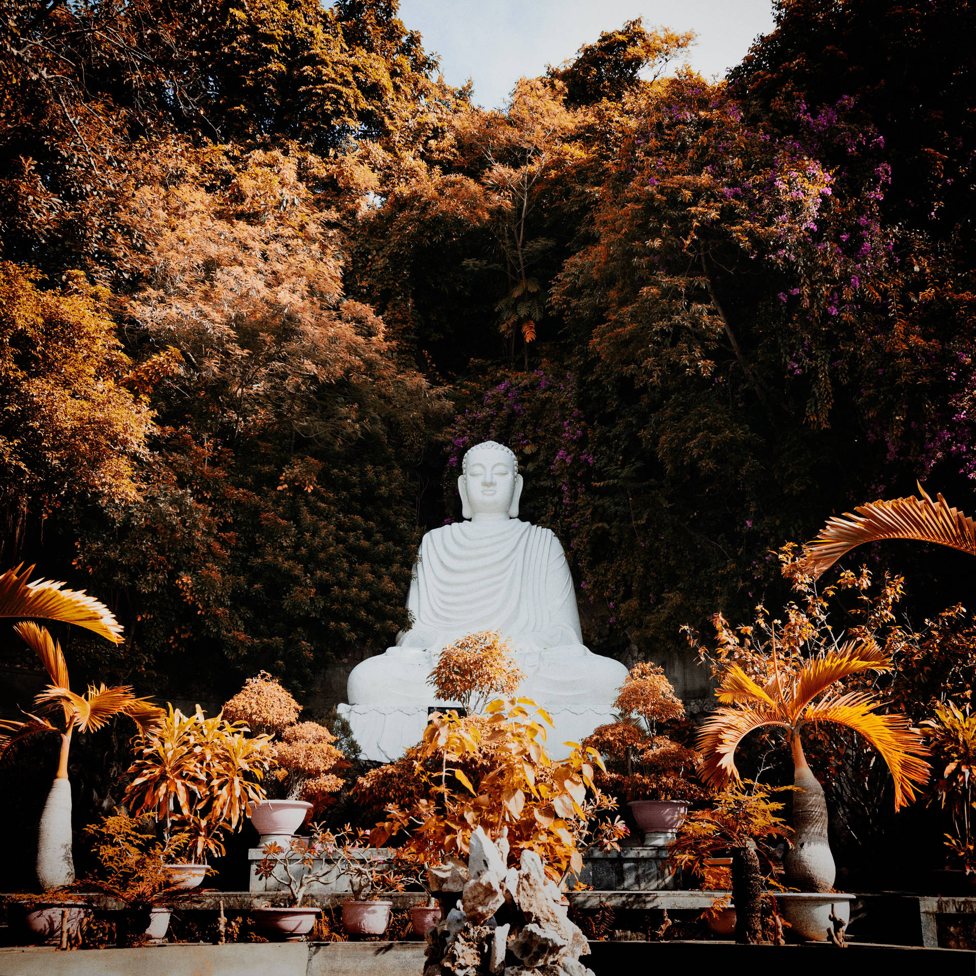 A peaceful White Buddha Statue in Nature Wallpaper