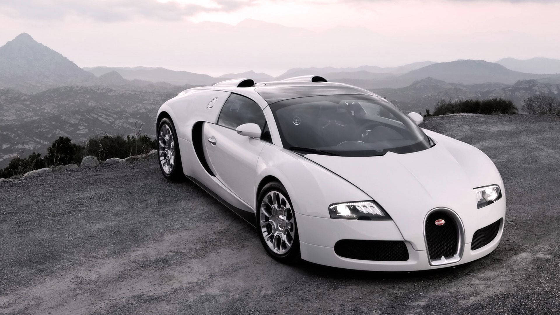 Majestic White Bugatti Veyron Outlining Perfection in the Countryside Wallpaper