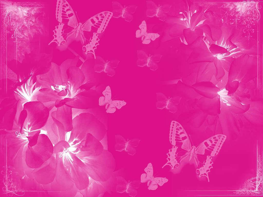 Mariposasblancas En Un Color Rosa Liso. Fondo de pantalla