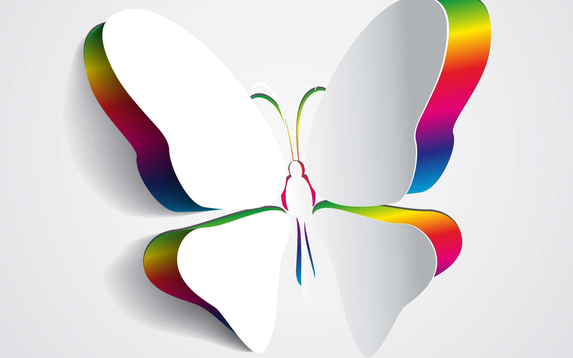 A white butterfly flutters through the air, its wings reflecting the light of the sun. Wallpaper