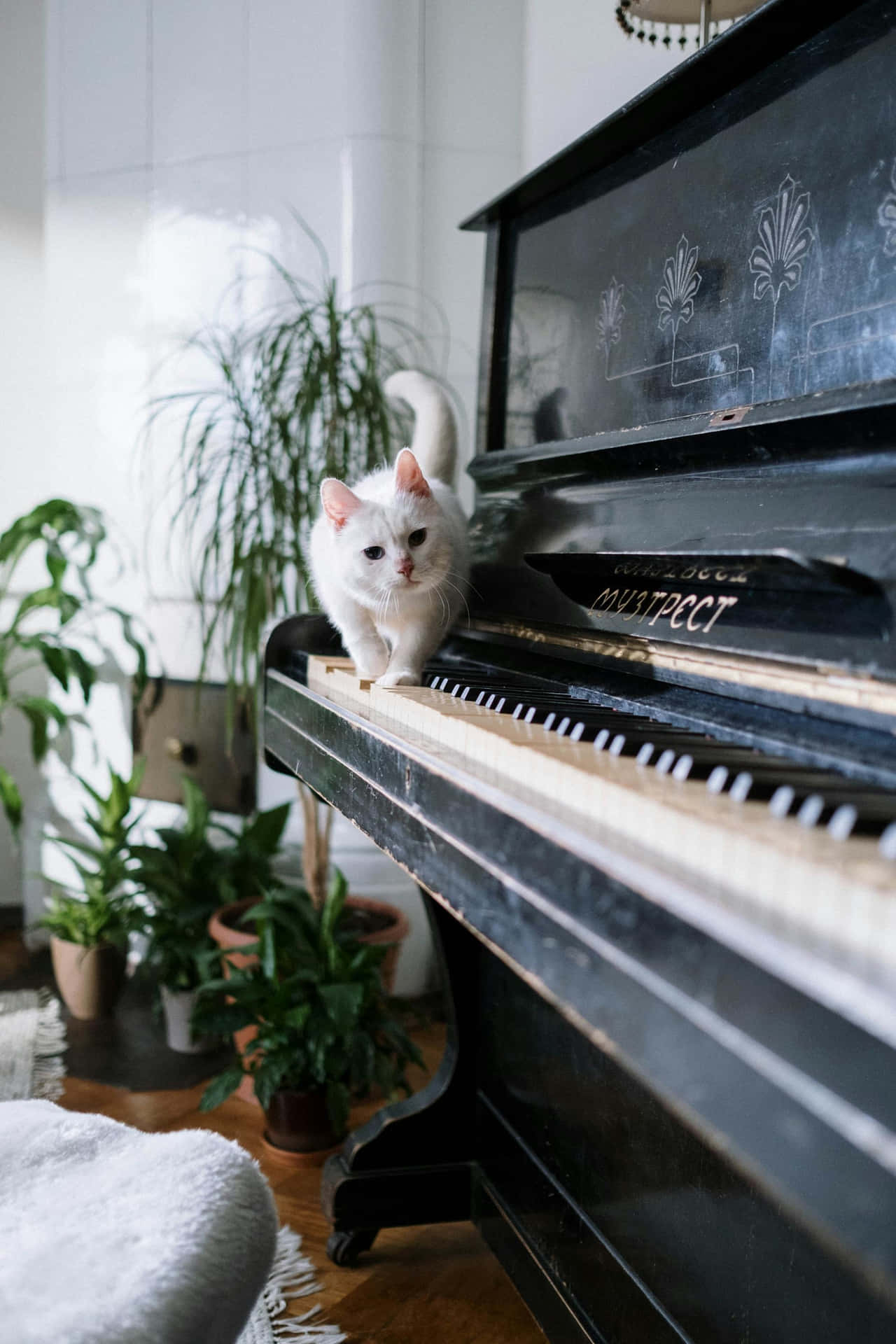 White Caton Vintage Piano Wallpaper