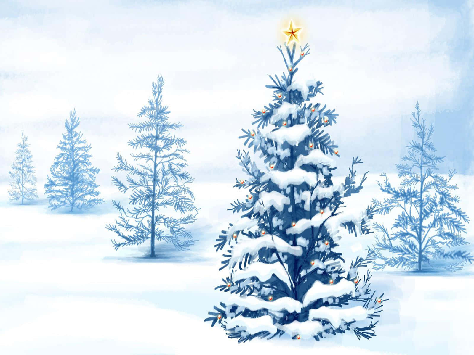 White Christmas Tree Show Star Wallpaper