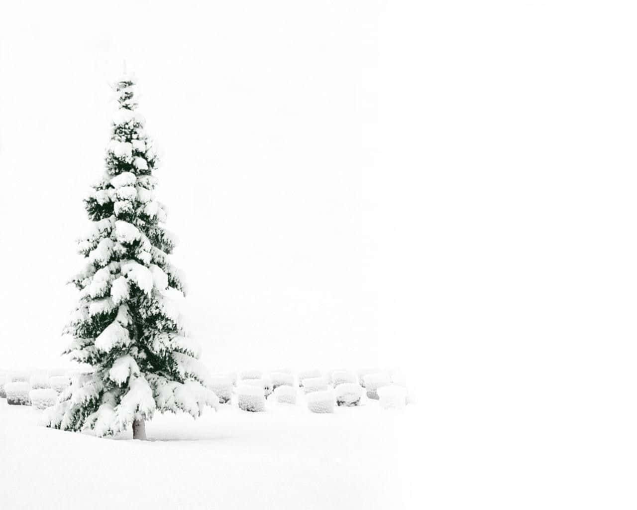 Minimalist Tree Snow White Christmas Wallpaper