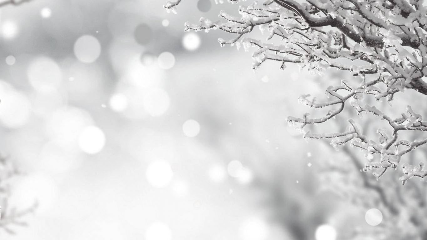 White Christmas In Winter