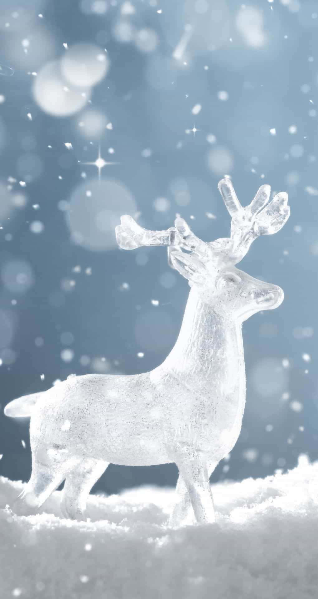 White Christmas Reindeer Iphone Wallpaper