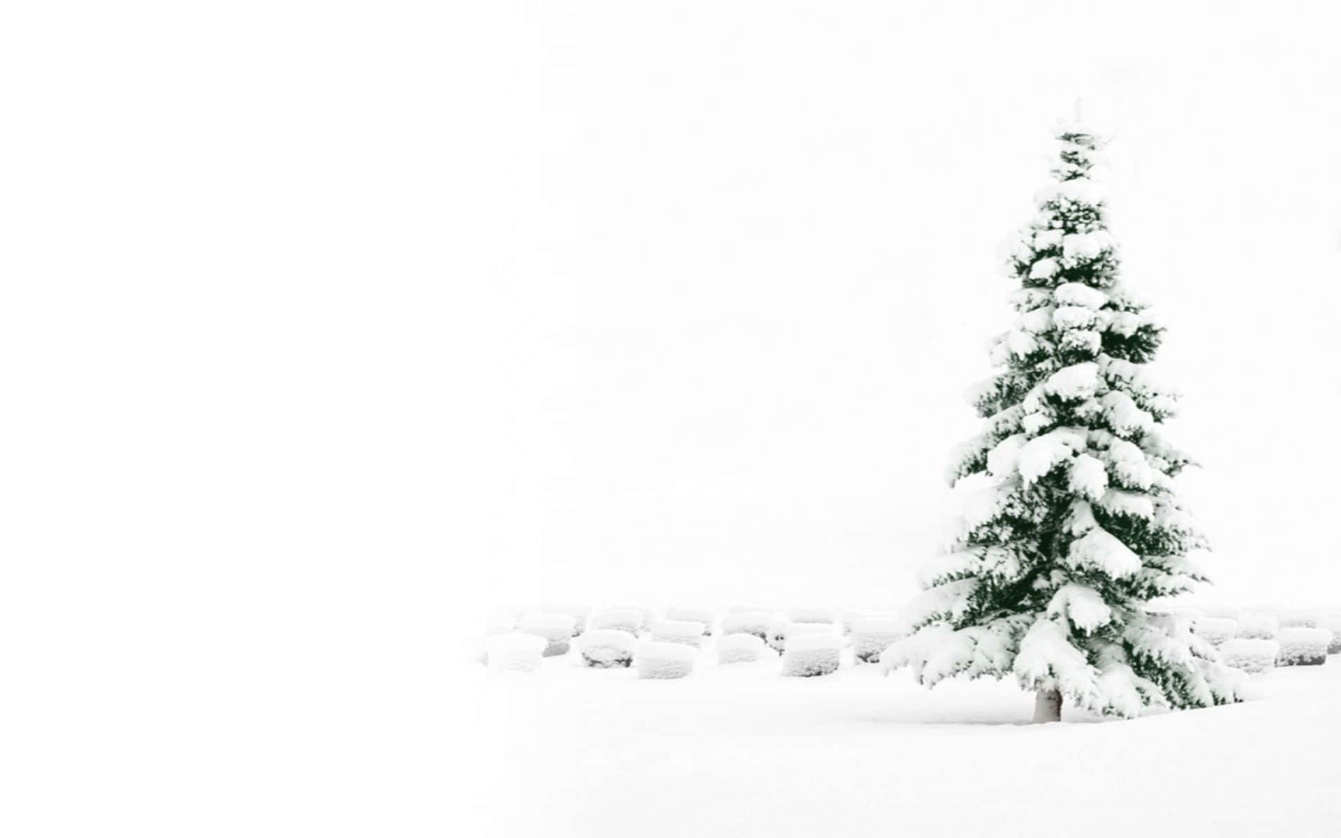 Cute White Christmas Tree Snow Wallpaper