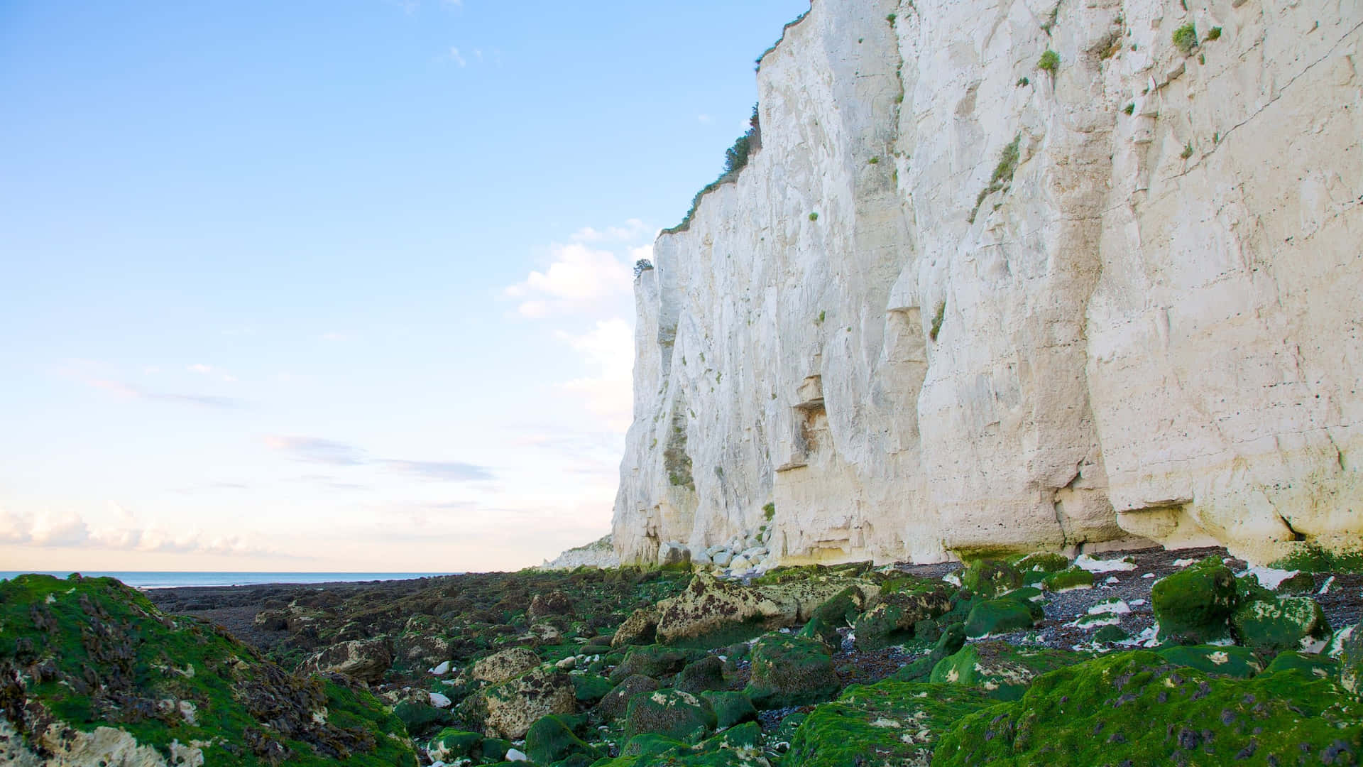 Vistamaestosa Delle Bianche Scogliere Di Dover Sfondo