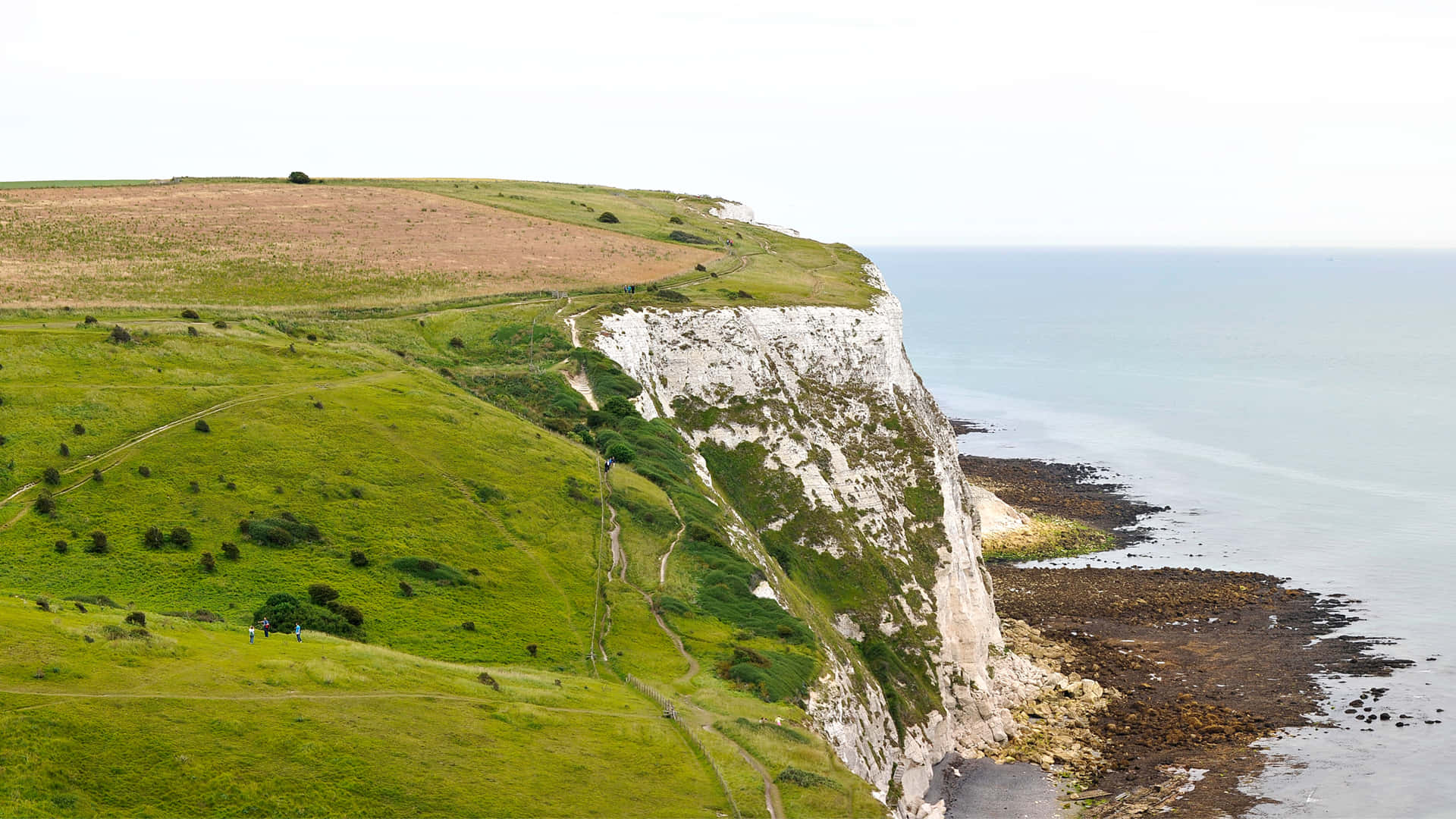 White Cliffs Of Dover England Wallpaper