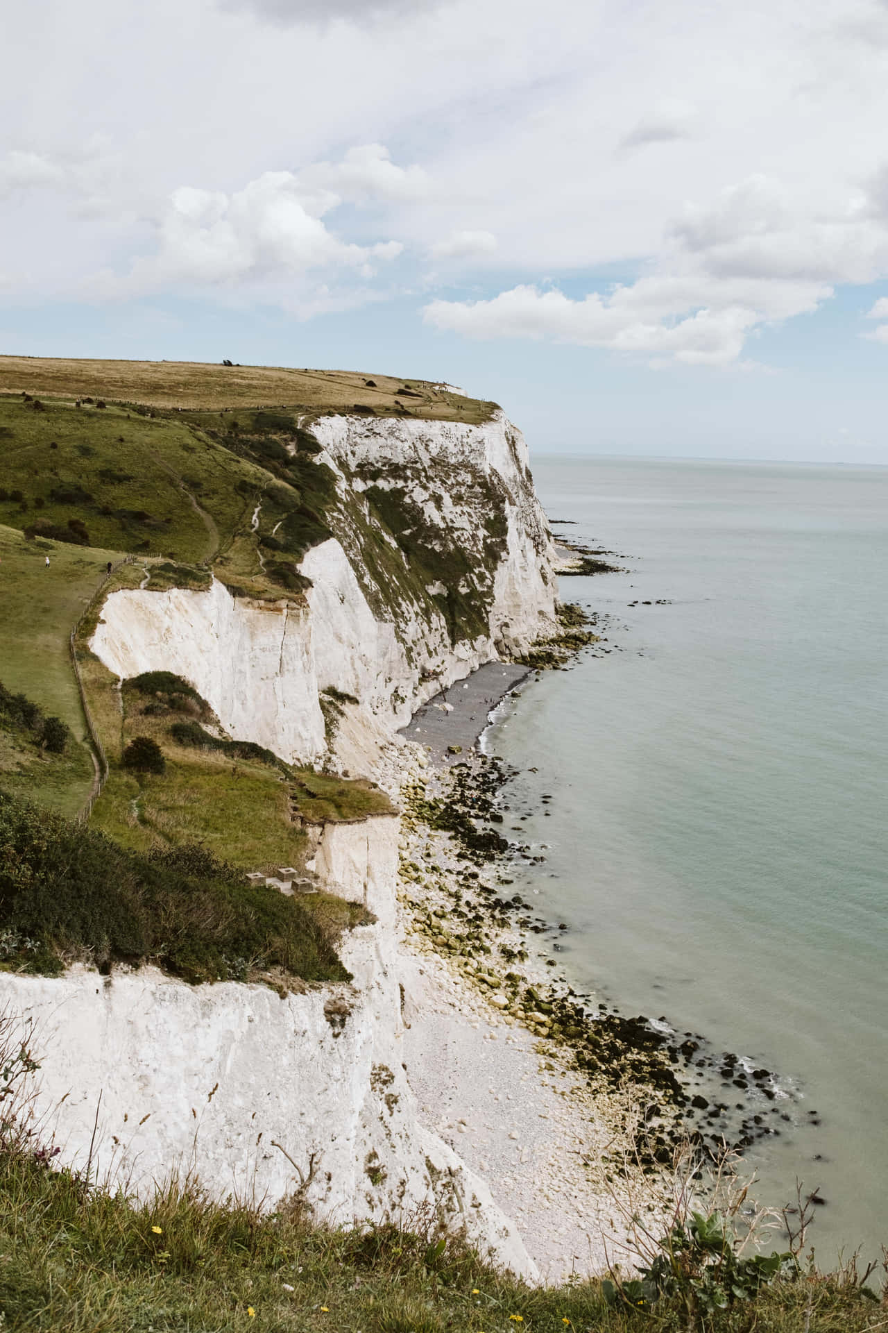 White Cliffs Of Dover Portrait Picture
