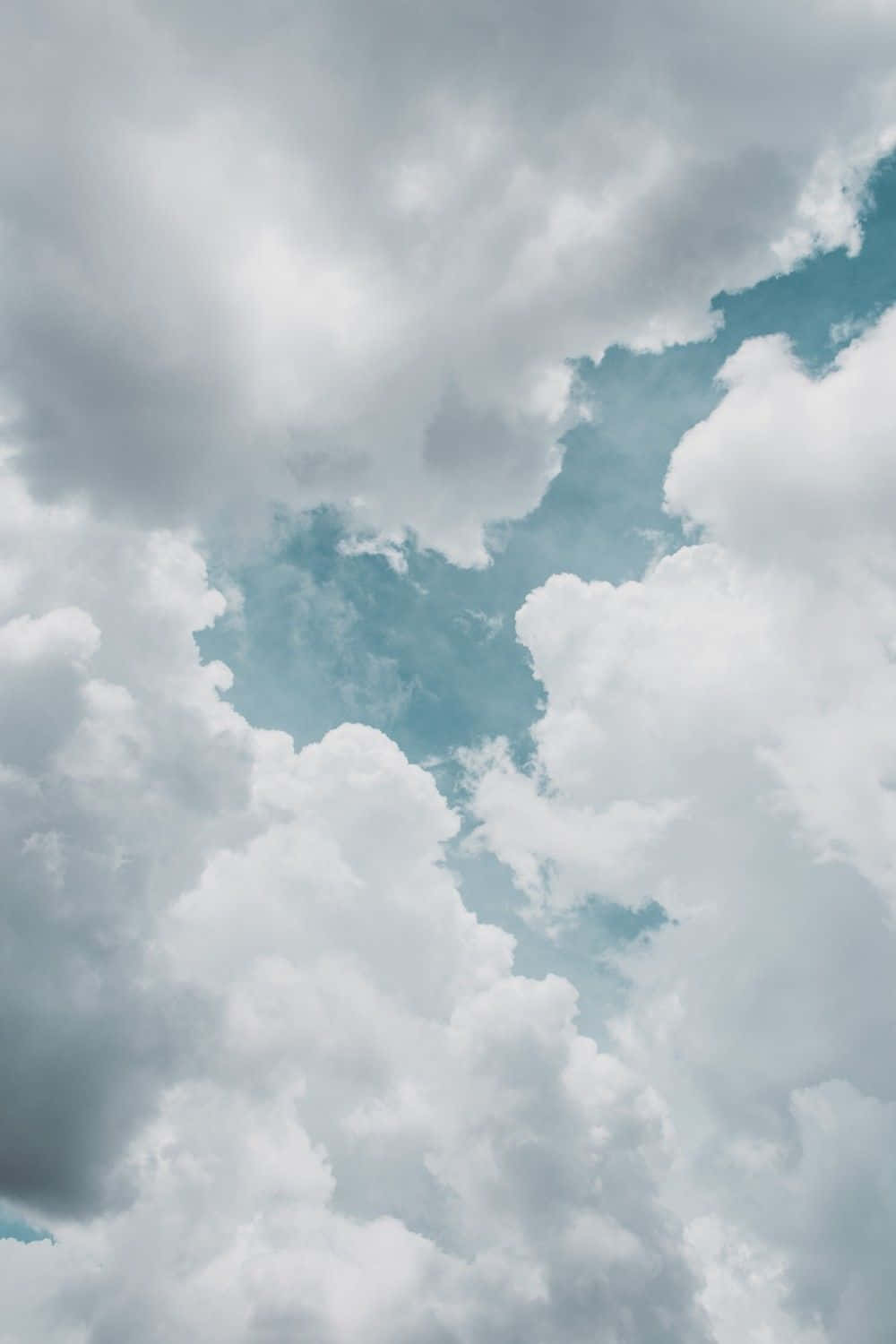 Enjoy a peaceful moment in nature with this stunning white cloud background.