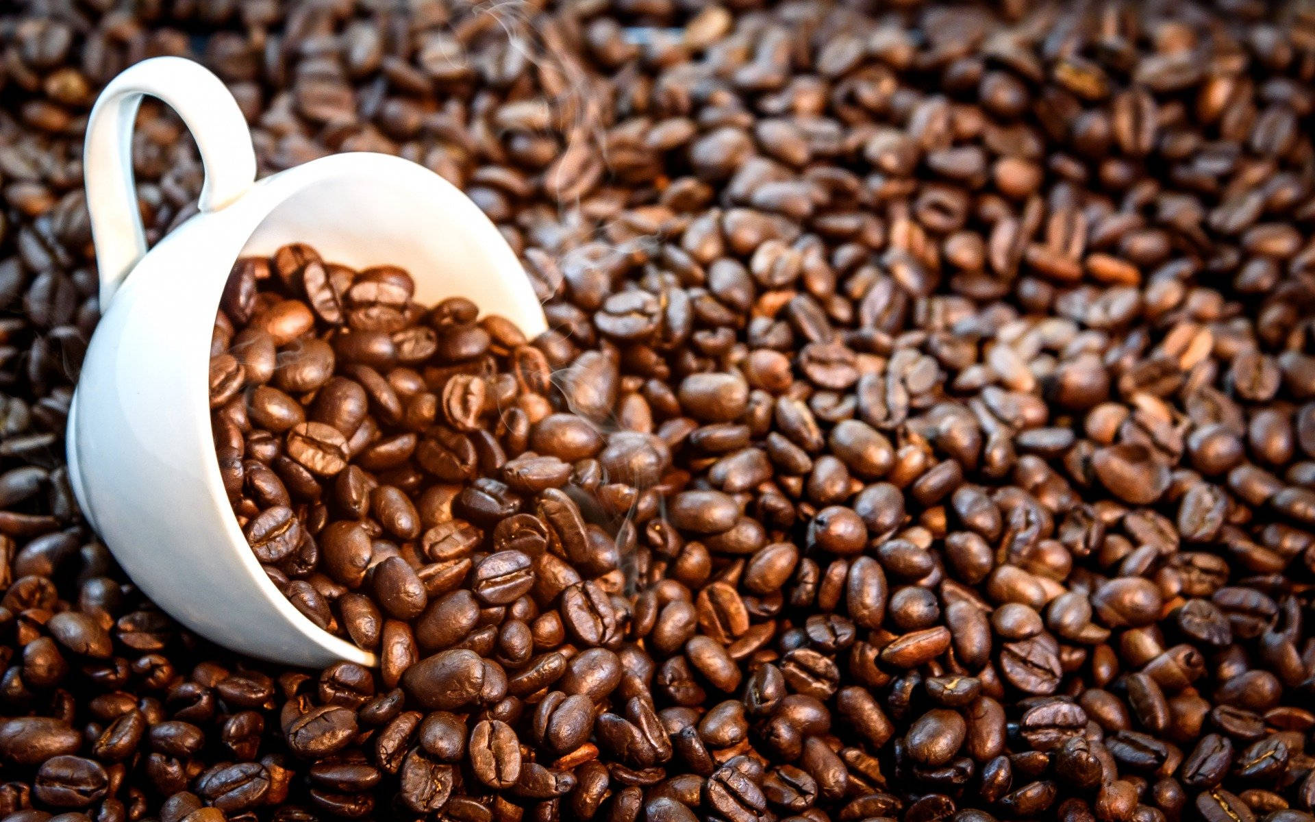White Coffee Cup Dipped In Coffee Beans Picture
