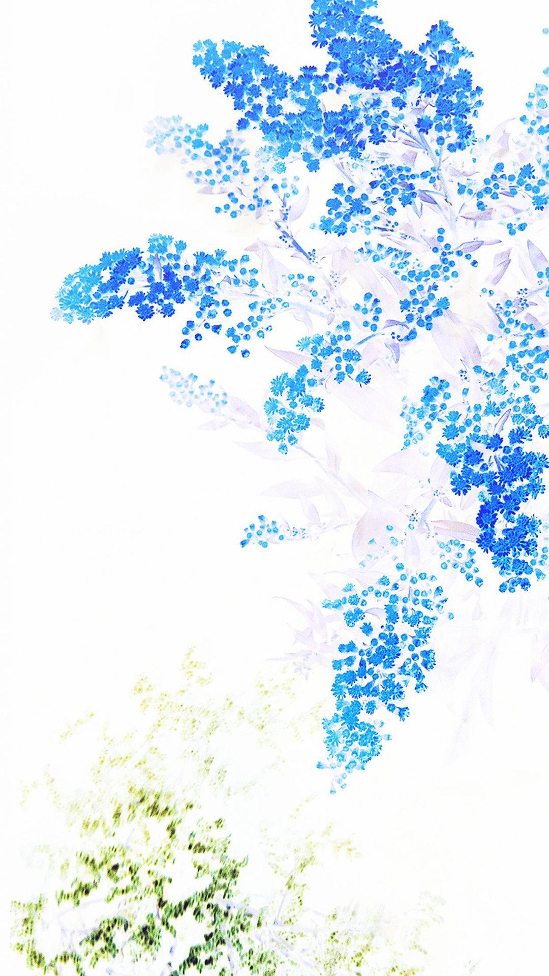 White Color With Blue Flowers Wallpaper