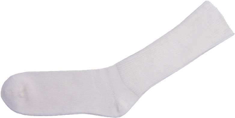 White Crew Sock Isolated PNG