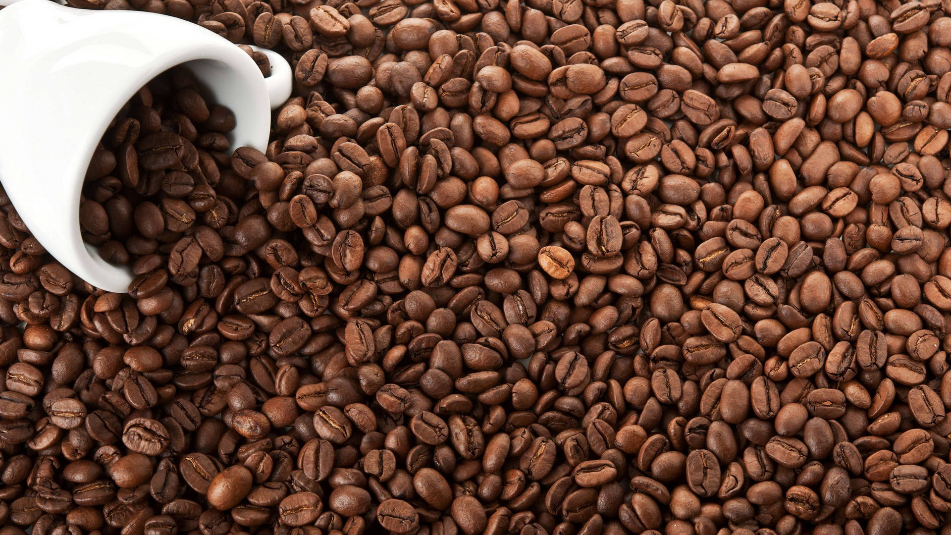 White Cup In Coffee Beans Wallpaper