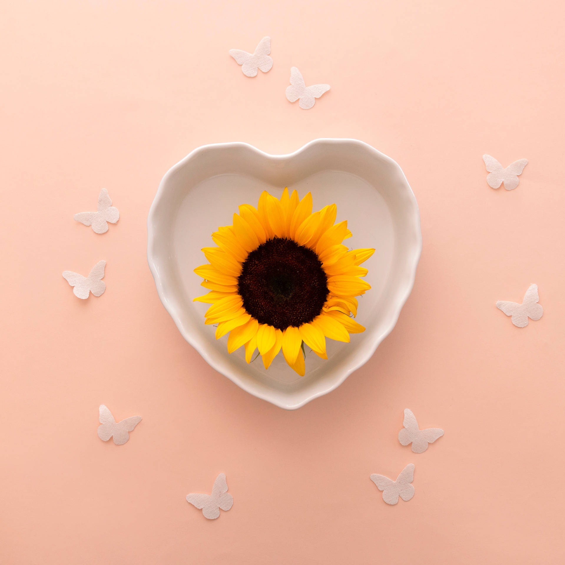 White Cup Sunflower Aesthetic Wallpaper