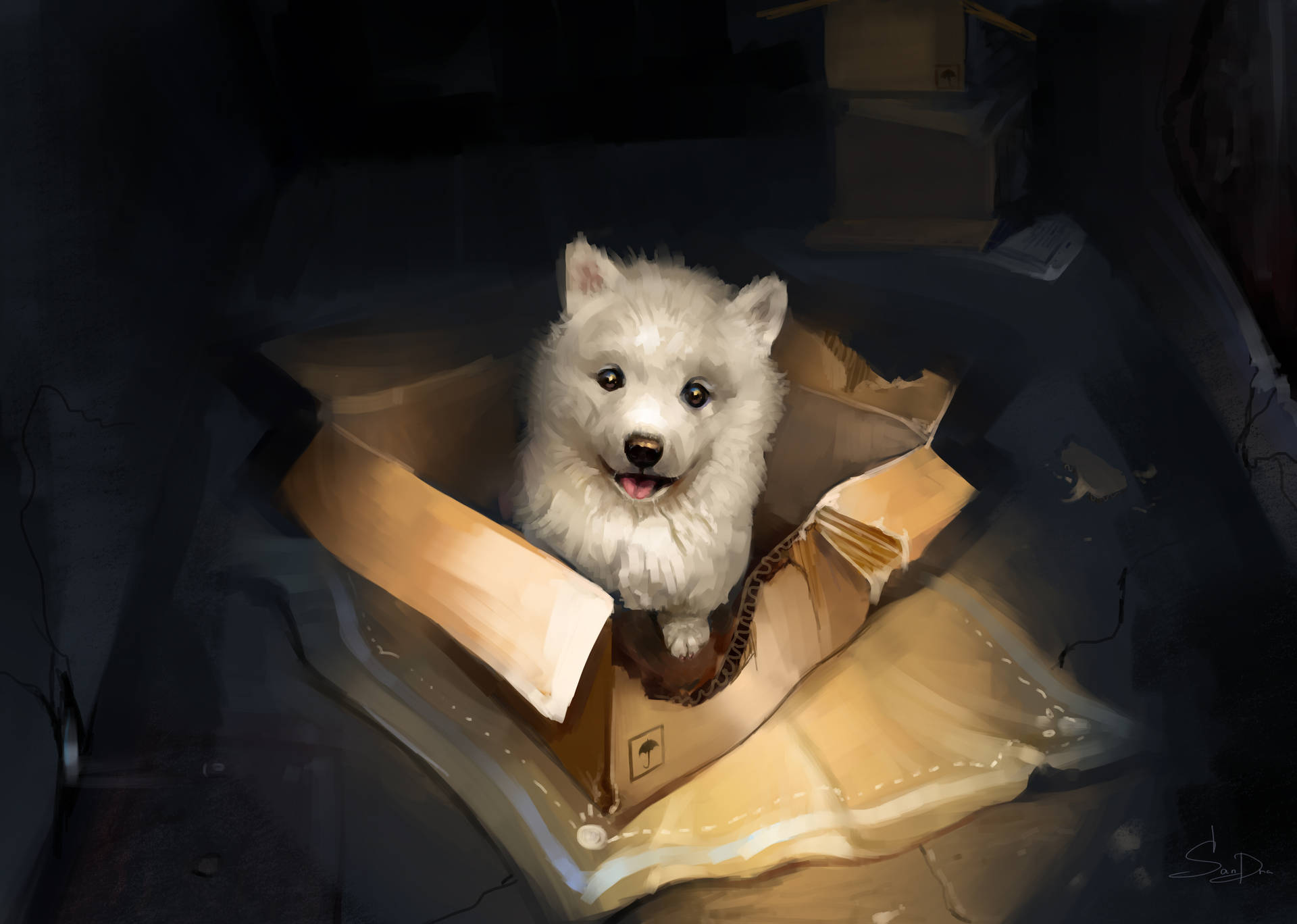 White Cute Puppy In The Box