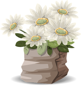 White Daisiesin Brown Bag Illustration PNG