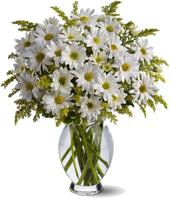 White Daisiesin Glass Vase PNG