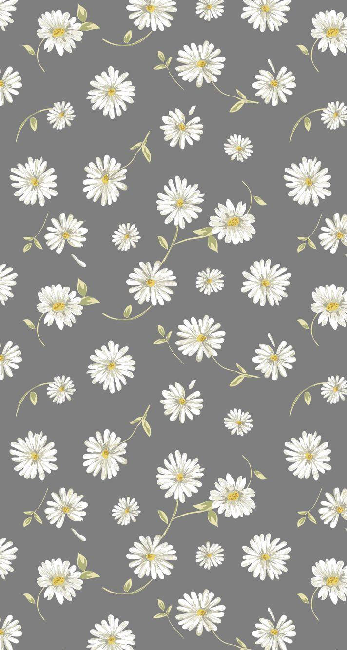 White Daisy Aesthetic Gray Background