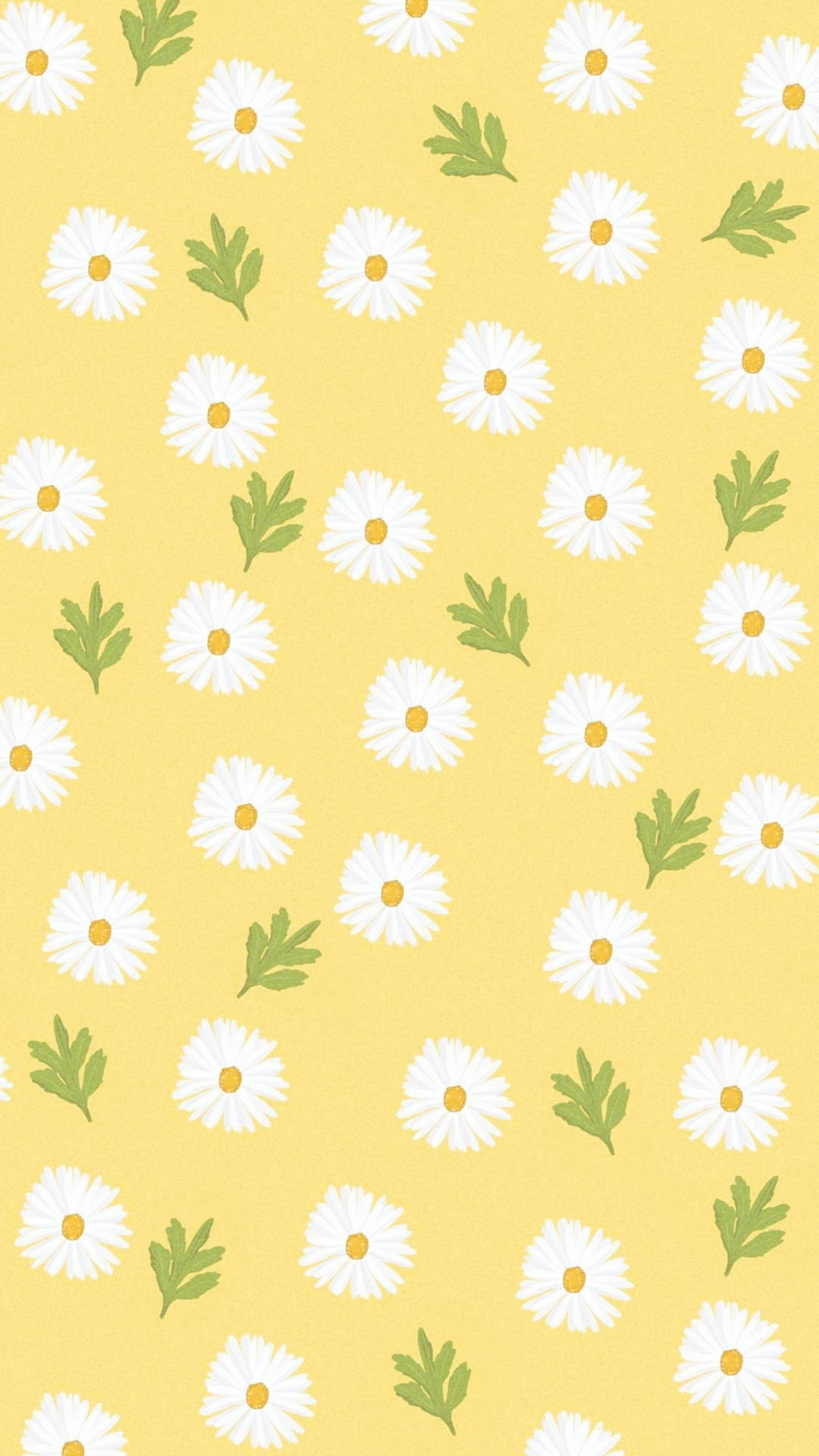 White Daisy Aesthetic Leaves Yellow Background