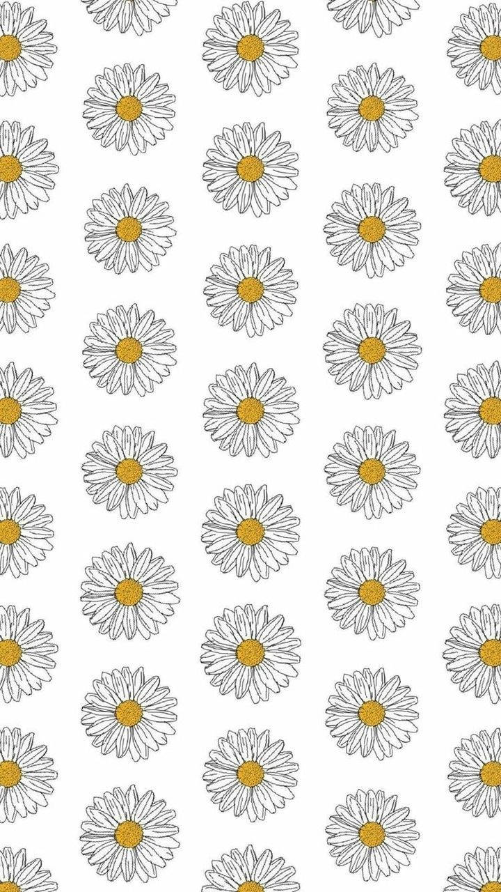 White Daisy Aesthetic Pattern Art Wallpaper