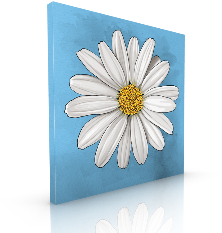 White Daisy Blue Background Art PNG