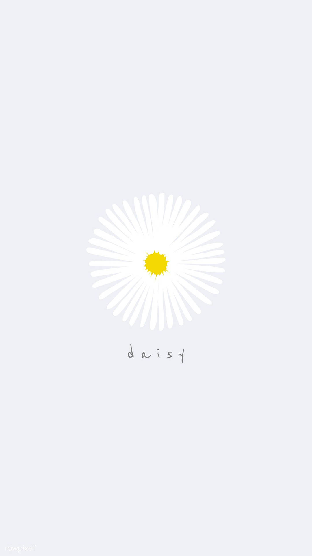 Weißegänseblümchenblume Iphone Kunst Wallpaper