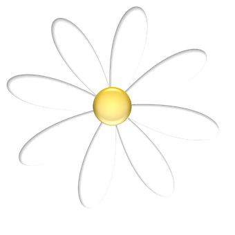 White Daisy Graphicon Black Background PNG