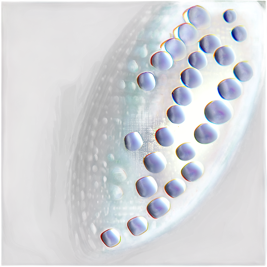 White Dot Texture Png Nkx29 PNG