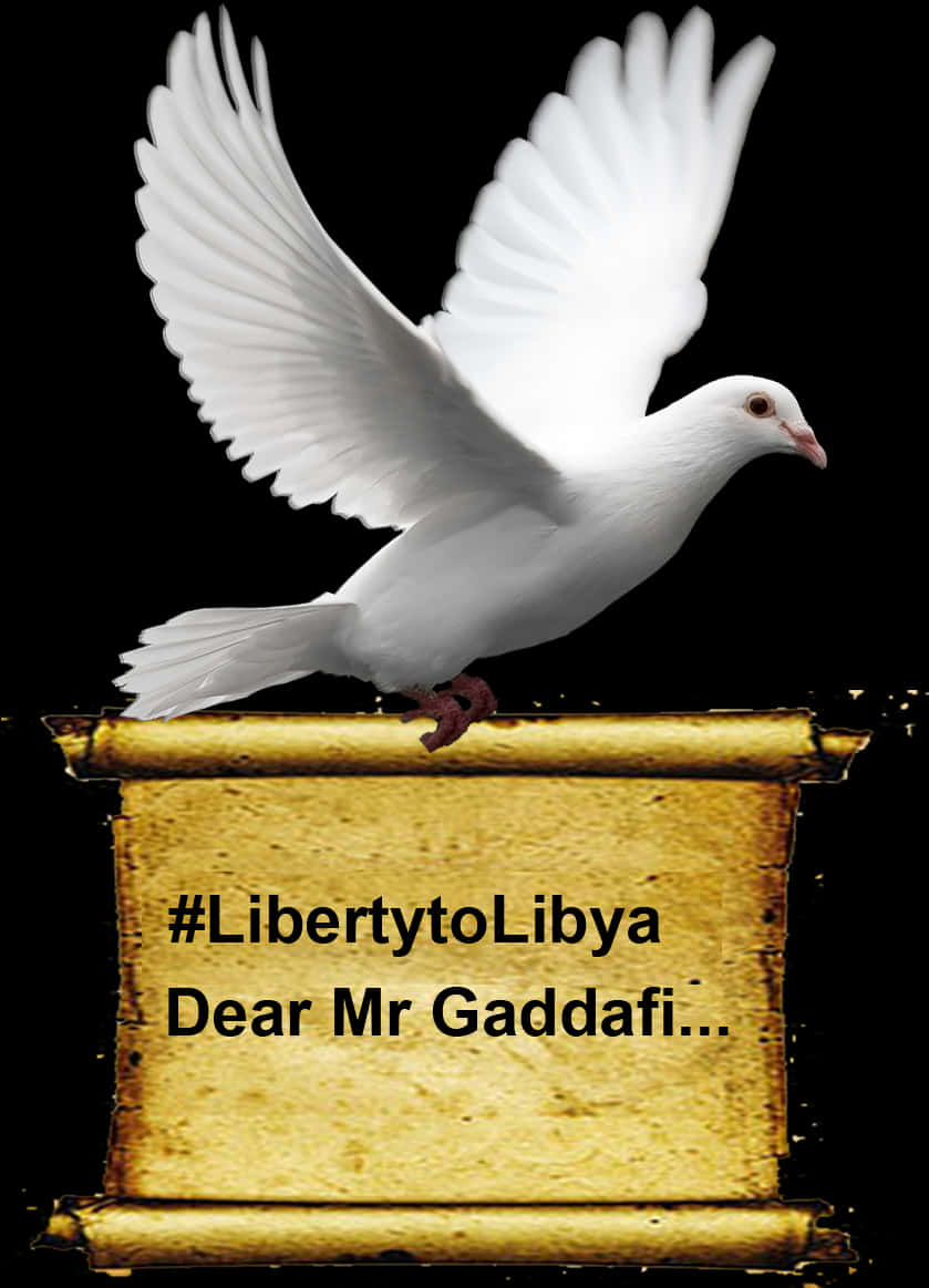 White Dove Libertyto Libya PNG