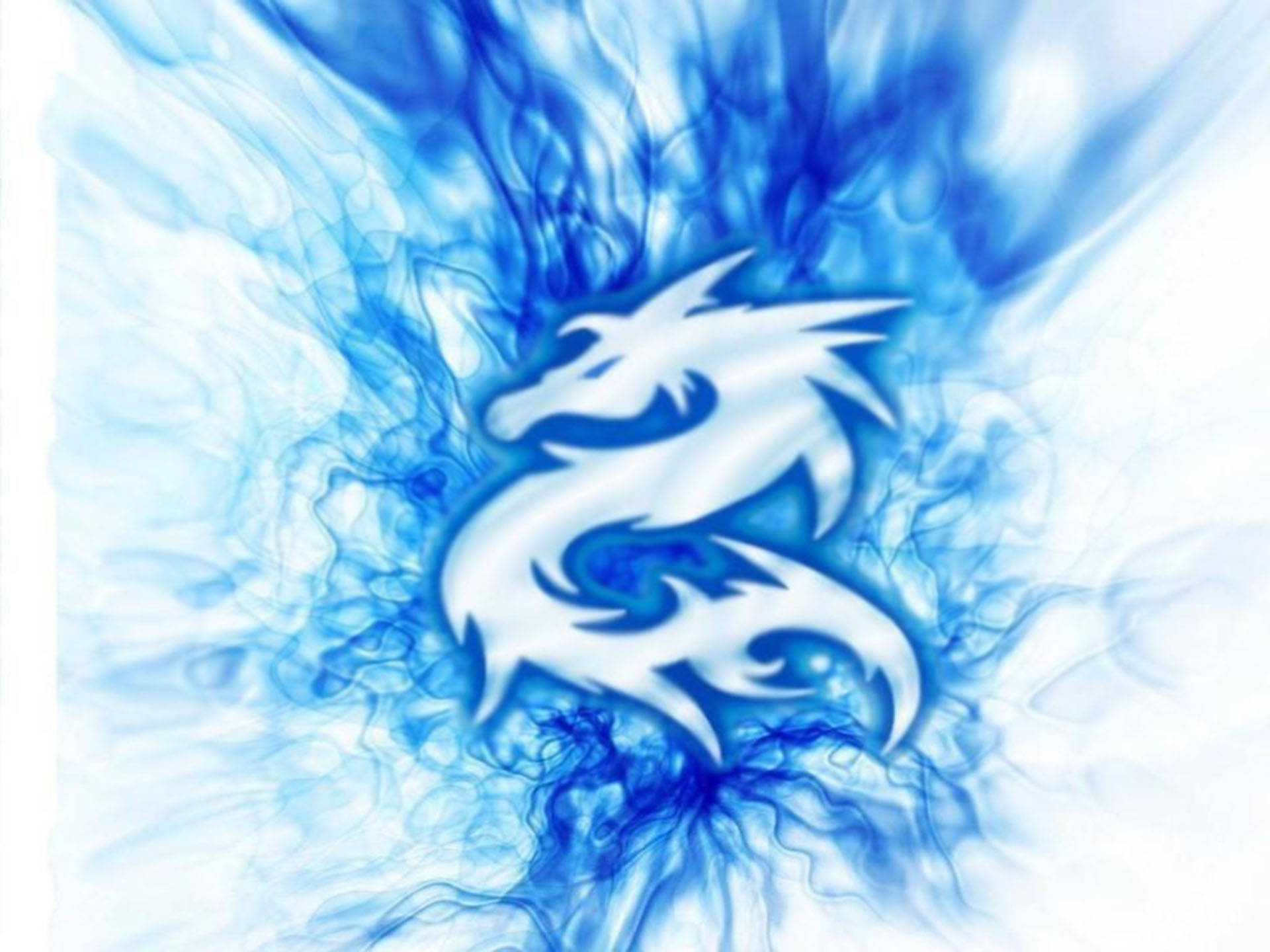 White Dragon Blue Flames Wallpaper