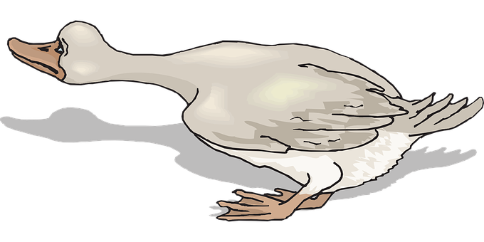 White Duck Illustration PNG