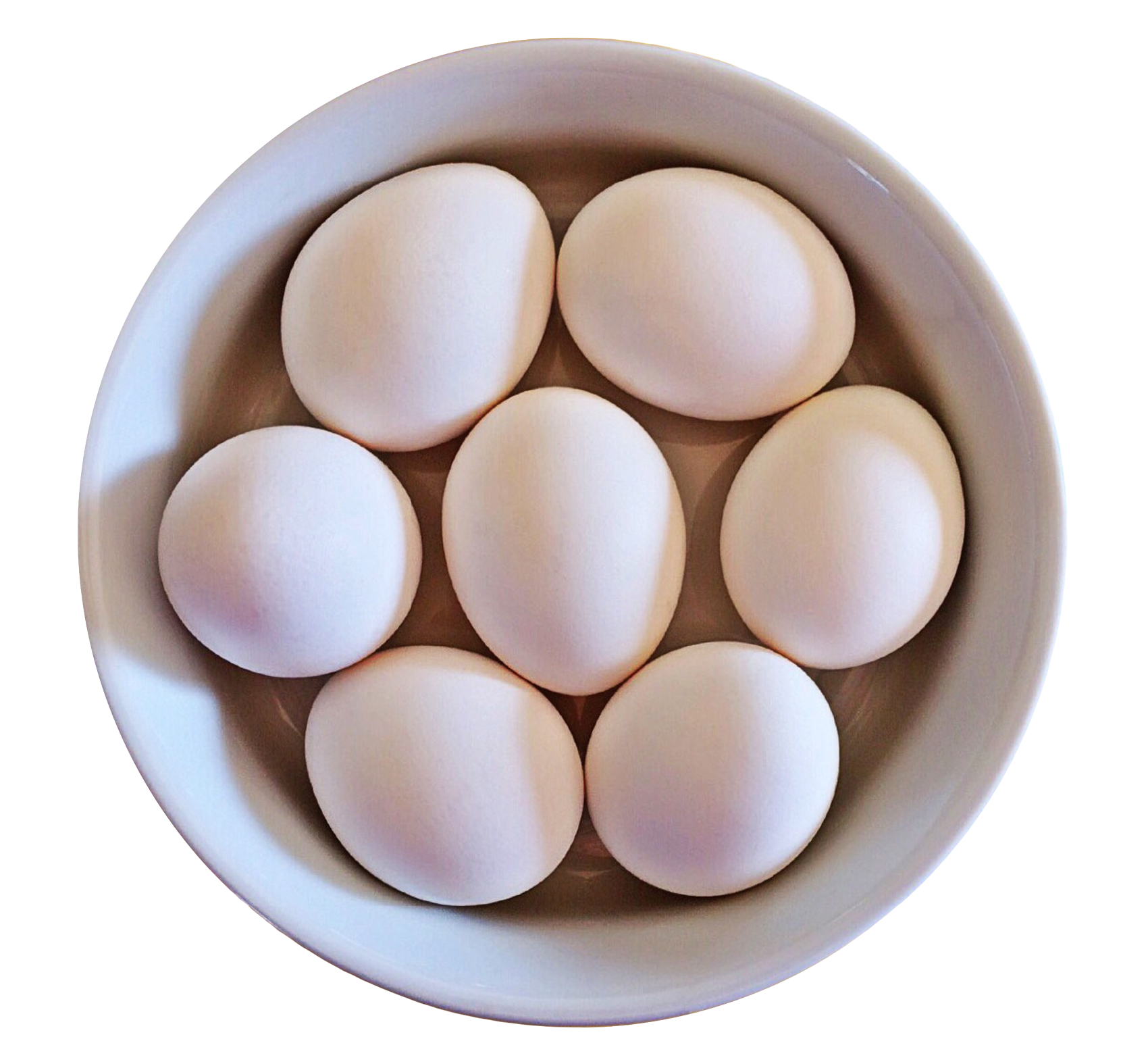 White Eggsin Bowl PNG