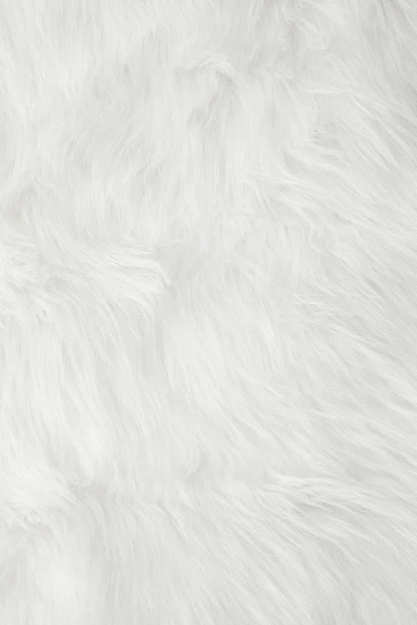 White Faux Fur Texture Wallpaper