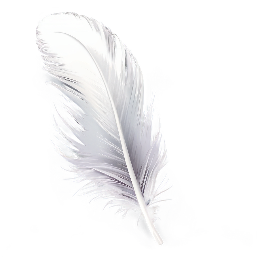 White Feather Detail Png Pjo PNG